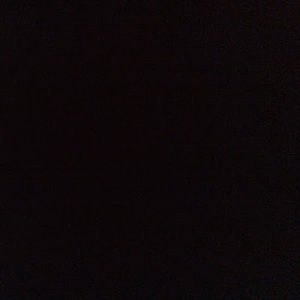 Meet your Posher, Sophia